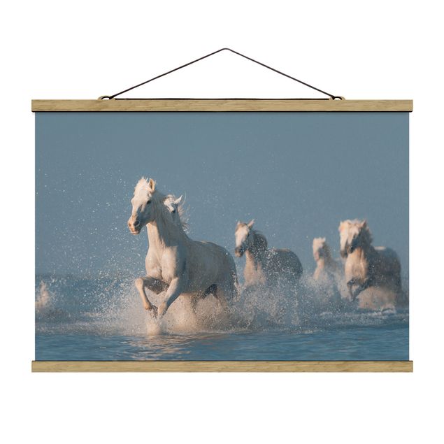Billeder dyr Herd Of White Horses