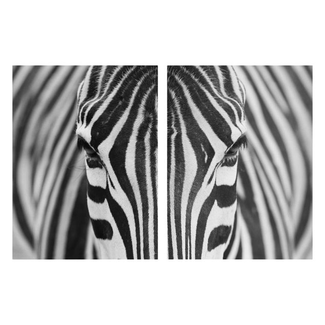 Billeder på lærred sort og hvid Zebra Look
