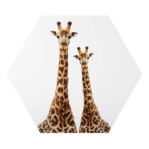 Billeder Portait Of Two Giraffes