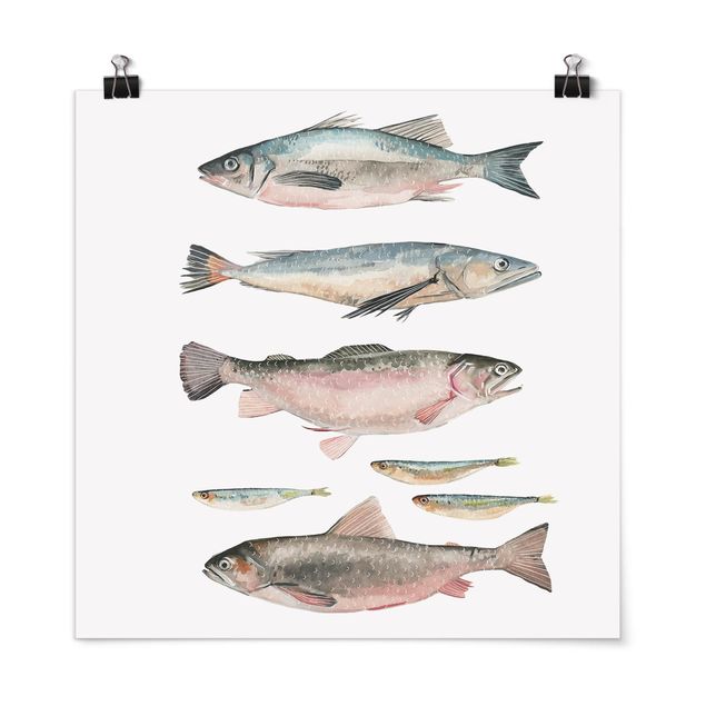 Plakater ordsprog Seven Fish In Watercolour I