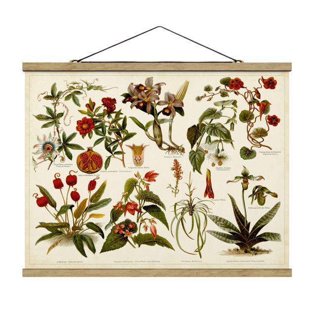 Billeder blomster Vintage Board Tropical Botany II