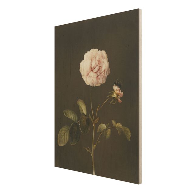 Prints på træ blomster Barbara Regina Dietzsch - French Rose With Bumblbee