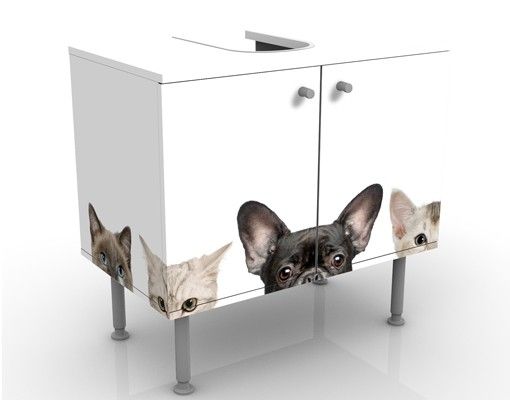 Underskabe til vask Cats With Puppy Dog Eyes