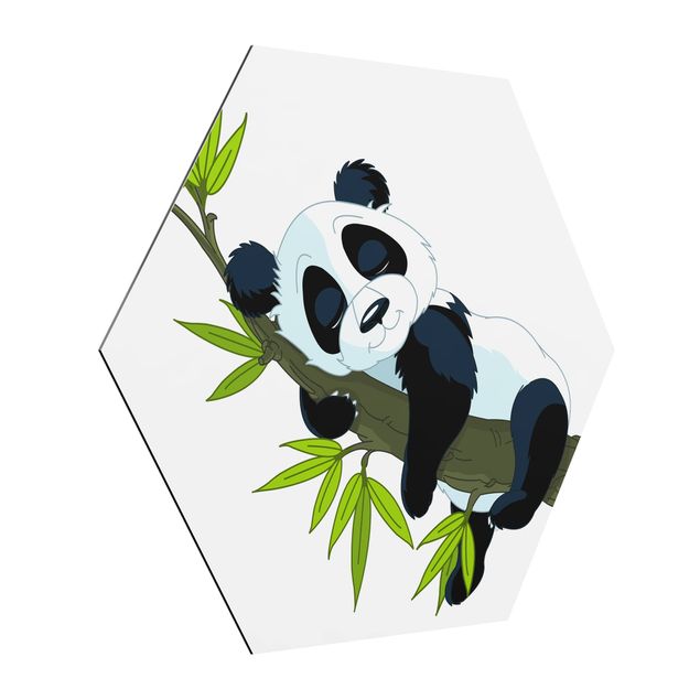 Billeder landskaber Sleeping Panda