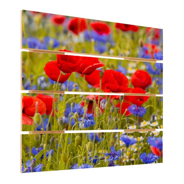 Prints på træ Summer Meadow With Poppies And Cornflowers