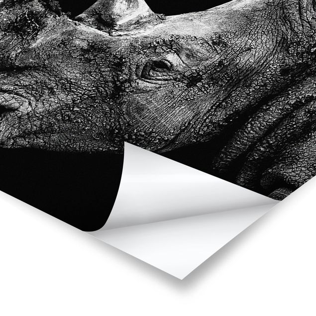 Plakater Rhino Duel