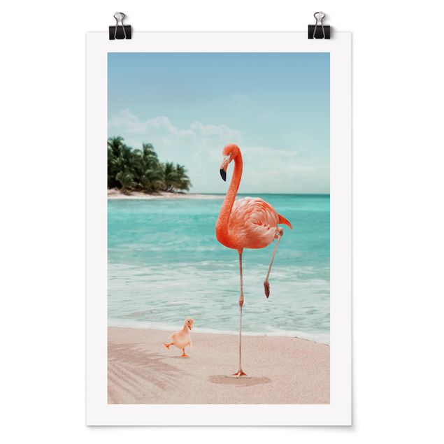 Billeder hav Beach With Flamingo