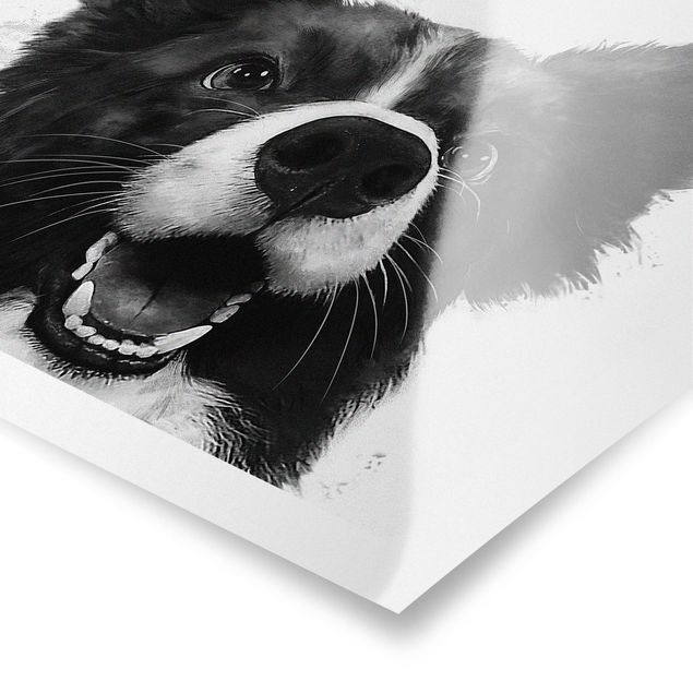 Billeder sort og hvid Illustration Dog Border Collie Black And White Painting