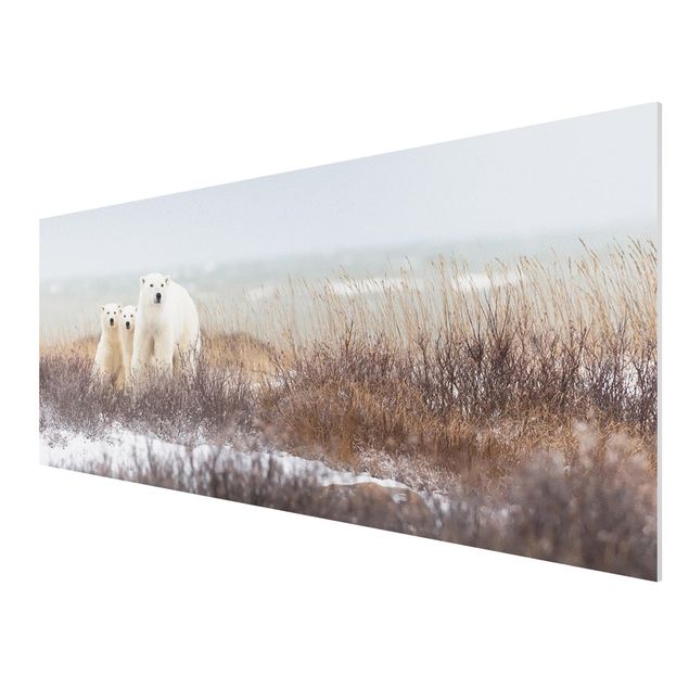 Billeder moderne Polar Bear And Her Cubs