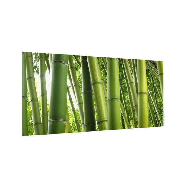 Stænkplader glas Bamboo Trees