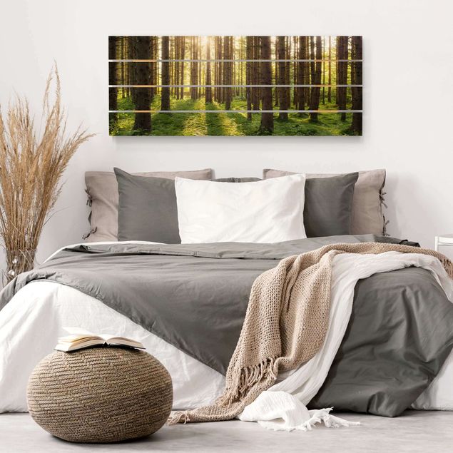 Prints på træ landskaber Sun Rays In Green Forest