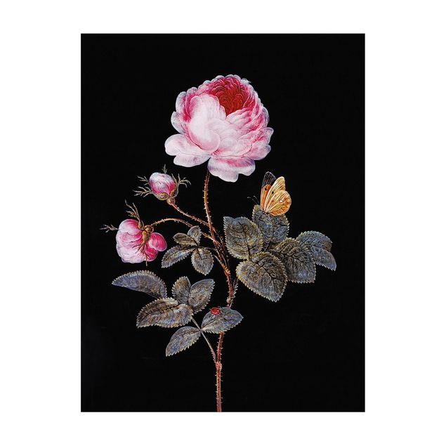 tæppe med blomster Barbara Regina Dietzsch - The Hundred-Petalled Rose