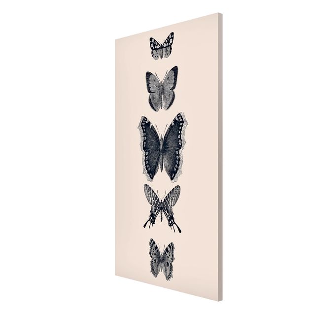 Magnettavler dyr Ink Butterflies On Beige Backdrop