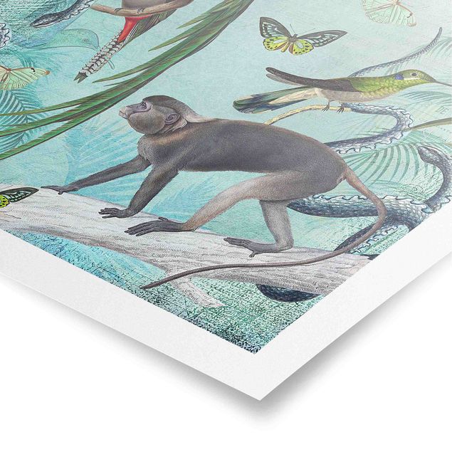Plakater kunsttryk Colonial Style Collage - Monkeys And Birds Of Paradise
