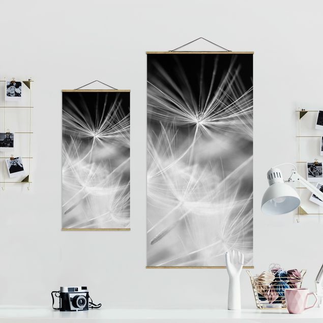 Billeder sort og hvid Moving Dandelions Close Up On Black Background