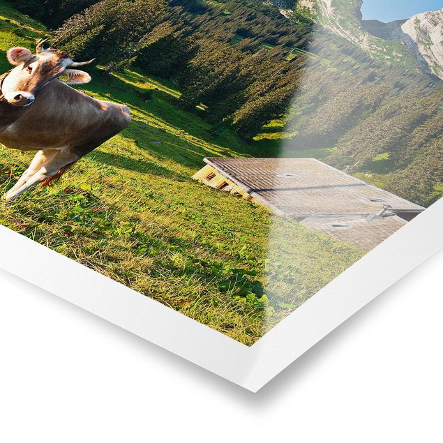 Billeder landskaber Swiss Alpine Meadow With Cow