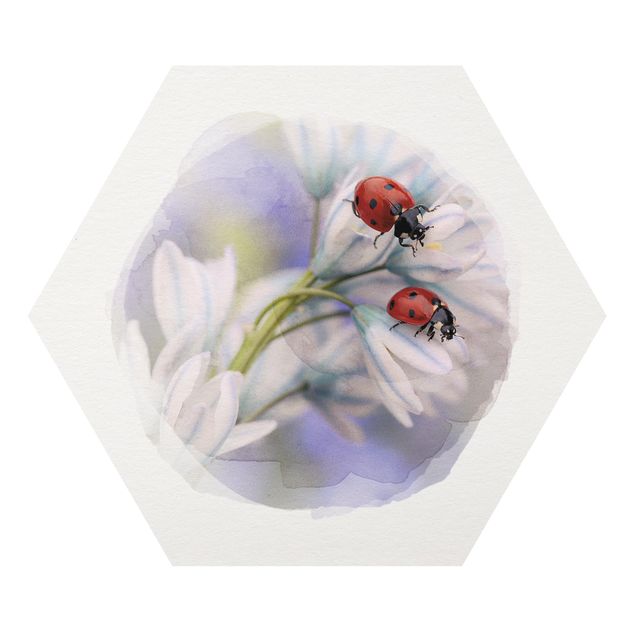 Forex Water Colours - Ladybug Couple