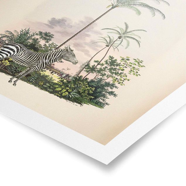 Plakater landskaber Zebra Front Of Palm Trees Illustration