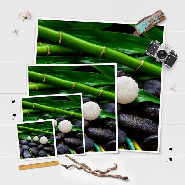 Billeder Green Bamboo With Zen Stones