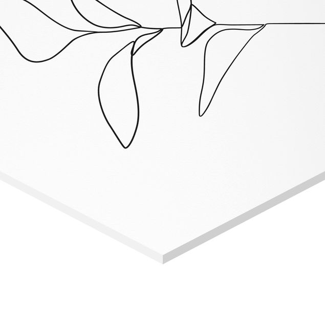 Billeder Line Art Plant Leaves Black And White