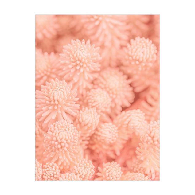 Tæpper Jungle Light Pink Floral Magic Sedum