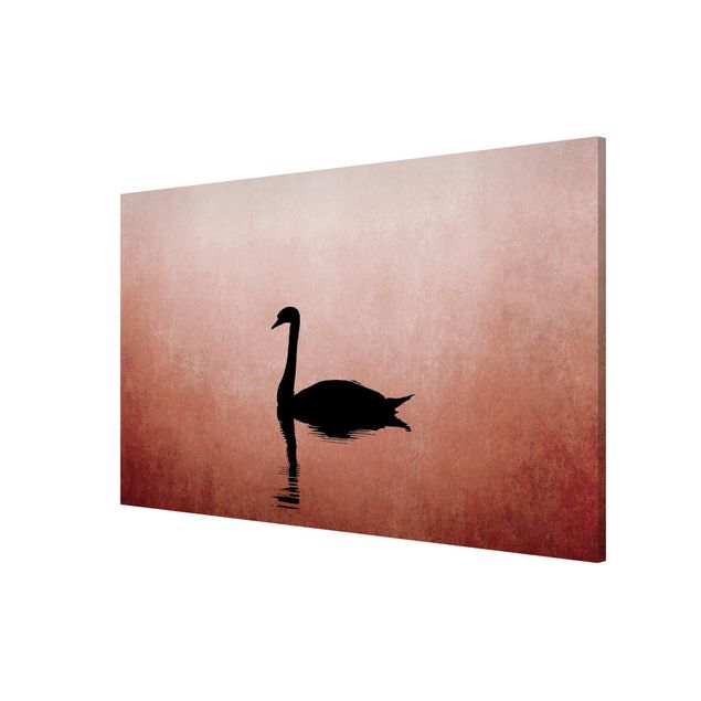 Magnettavler dyr Swan In Sunset