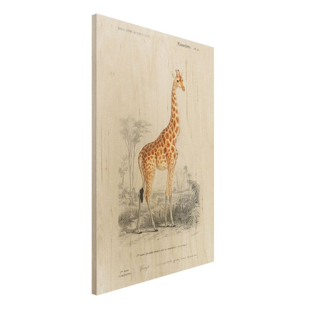 køkken dekorationer Vintage Board Giraffe