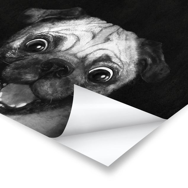 Billeder sort og hvid Illustration Dog Pug Painting On Black And White