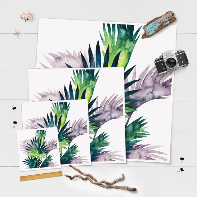 Plakater Exotic Foliage - Fan Palm