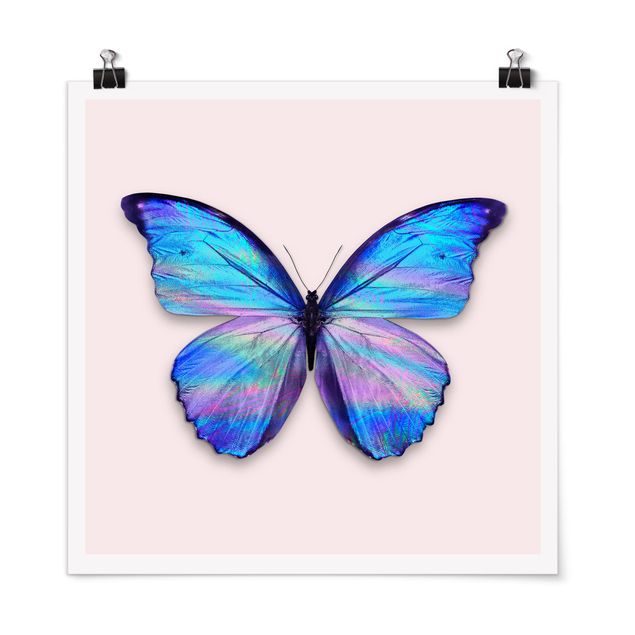 Billeder sommerfugle Holographic Butterfly