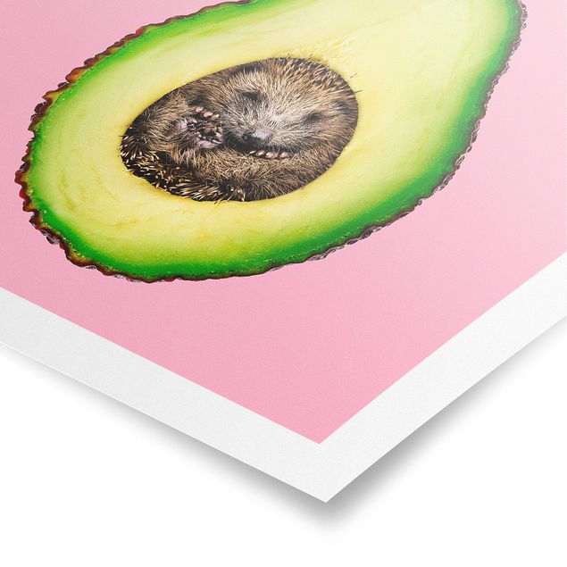Plakater ordsprog Avocado With Hedgehog