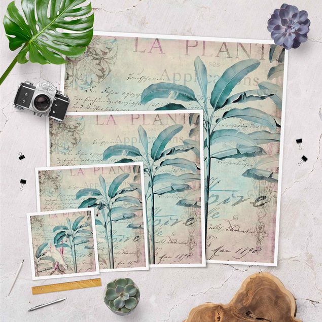 Plakater Colonial Style Collage - Cockatoos And Palm Trees