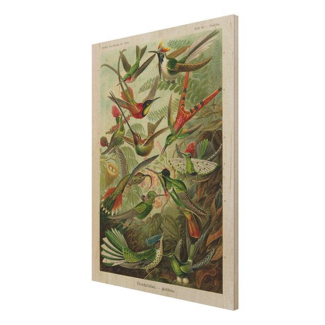 Prints på træ vintage Vintage Board Hummingbirds