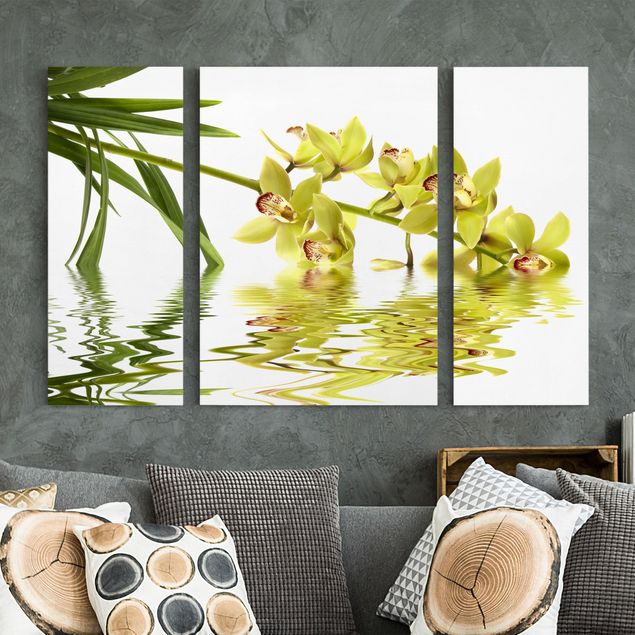 Billeder orkideer Elegant Orchid Waters