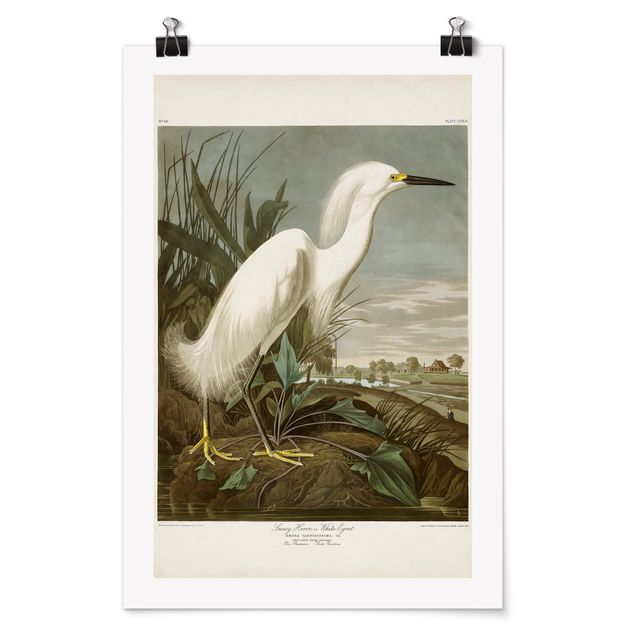 Billeder hav Vintage Board White Heron I
