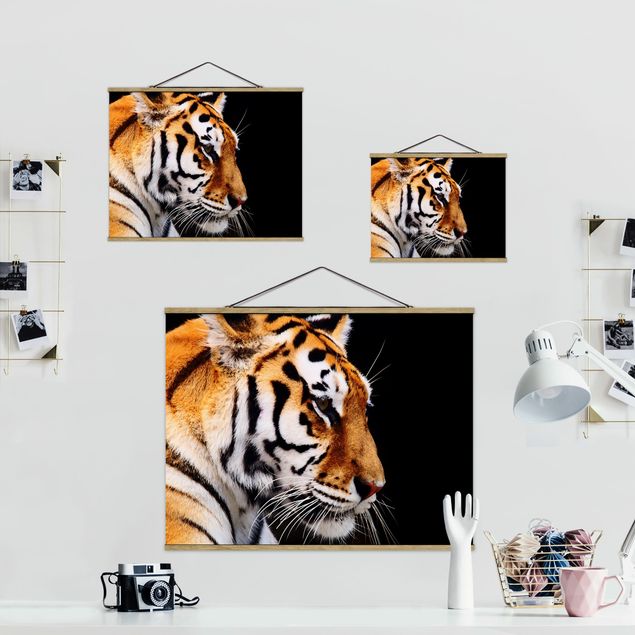 Billeder Tiger Beauty