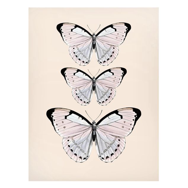 Billeder sommerfugle Butterfly On Beige