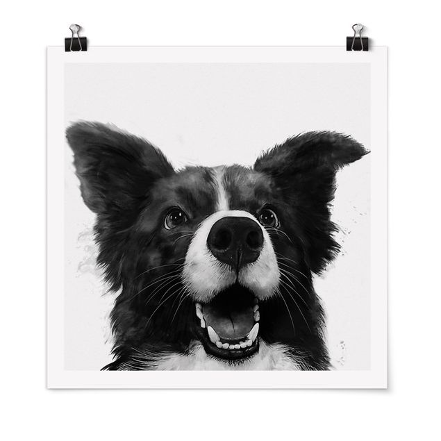 Plakater kunsttryk Illustration Dog Border Collie Black And White Painting