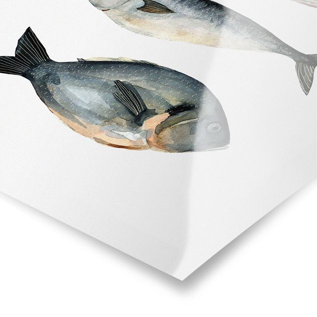 Billeder blå Four Fish In Watercolour I