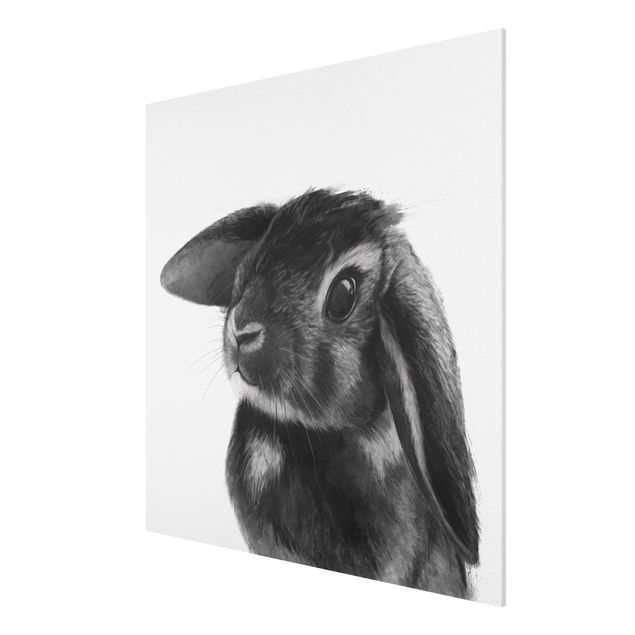 Billeder moderne Illustration Rabbit Black And White Drawing