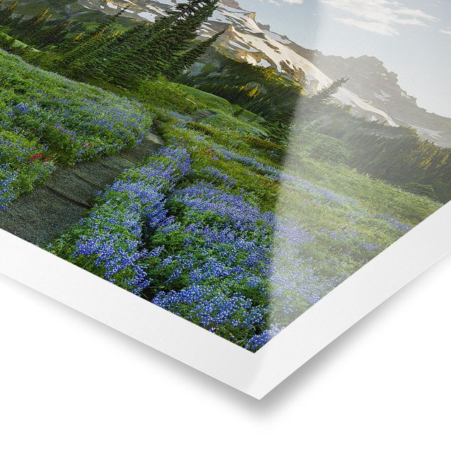 Plakater blomster Mountain View Meadow Path