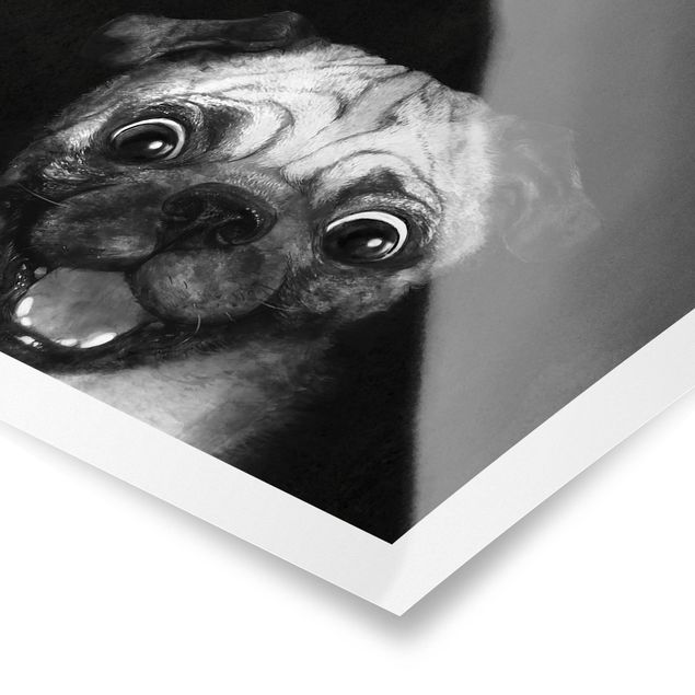 Billeder sort Illustration Dog Pug Painting On Black And White