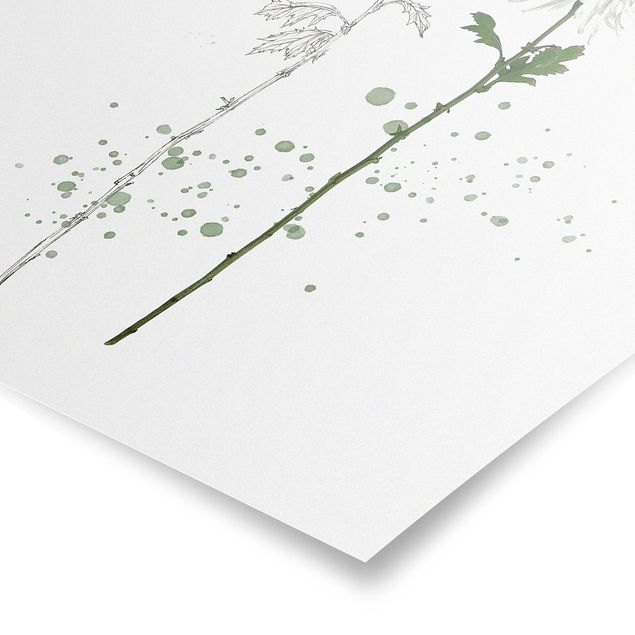 Billeder blomster Botanical Watercolour - Dandelion