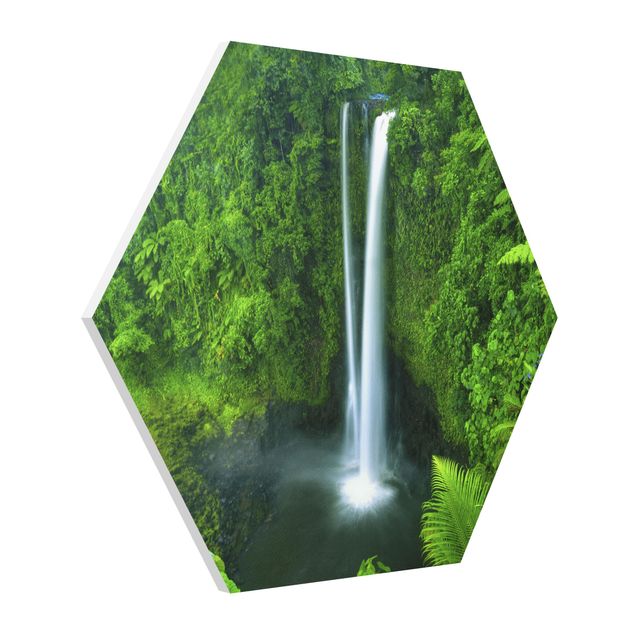 Billeder jungle Heavenly Waterfall
