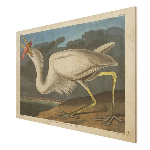 Billeder Vintage Board Great White Egret
