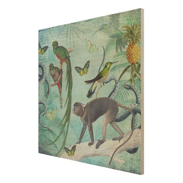 Billeder Andrea Haase Colonial Style Collage - Monkeys And Birds Of Paradise