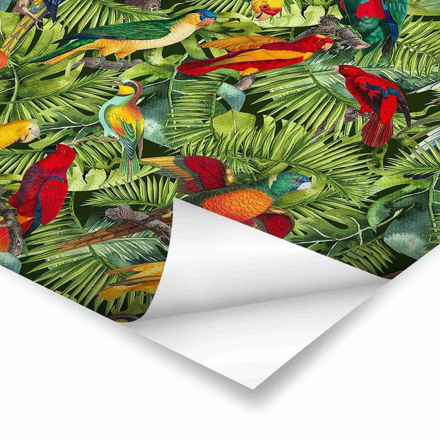 Billeder Andrea Haase Colourful Collage - Parrots In The Jungle