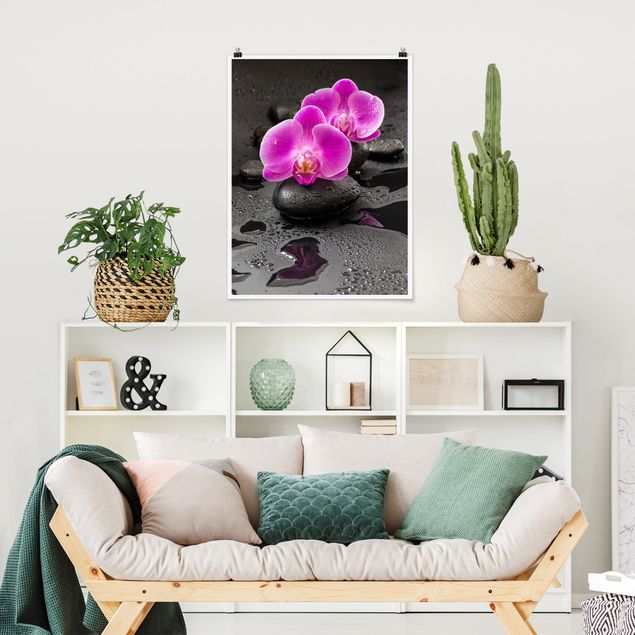 Plakater blomster Pink Orchid Flower On Stones With Drops