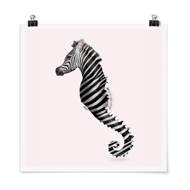 Billeder heste Seahorse With Zebra Stripes