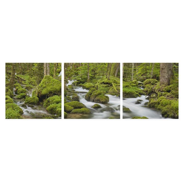 Billeder på lærred skove Mossy Stones Switzerland